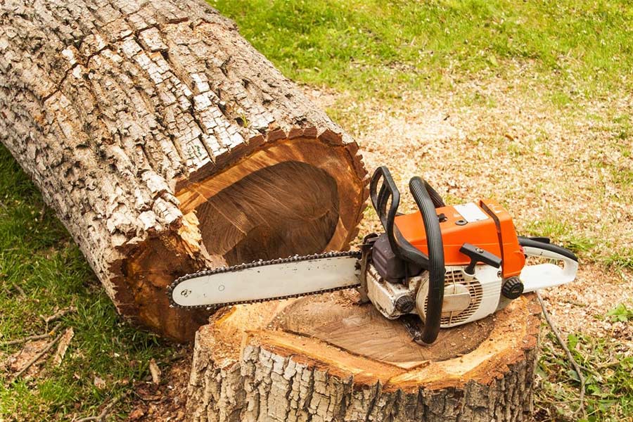 tree-removal-simi-valley-ca